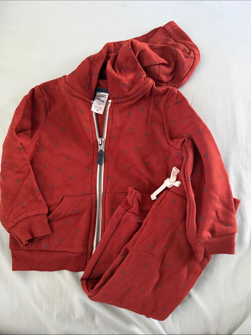 Carter's Hooded Zip Sweatshirt and Jogger Set